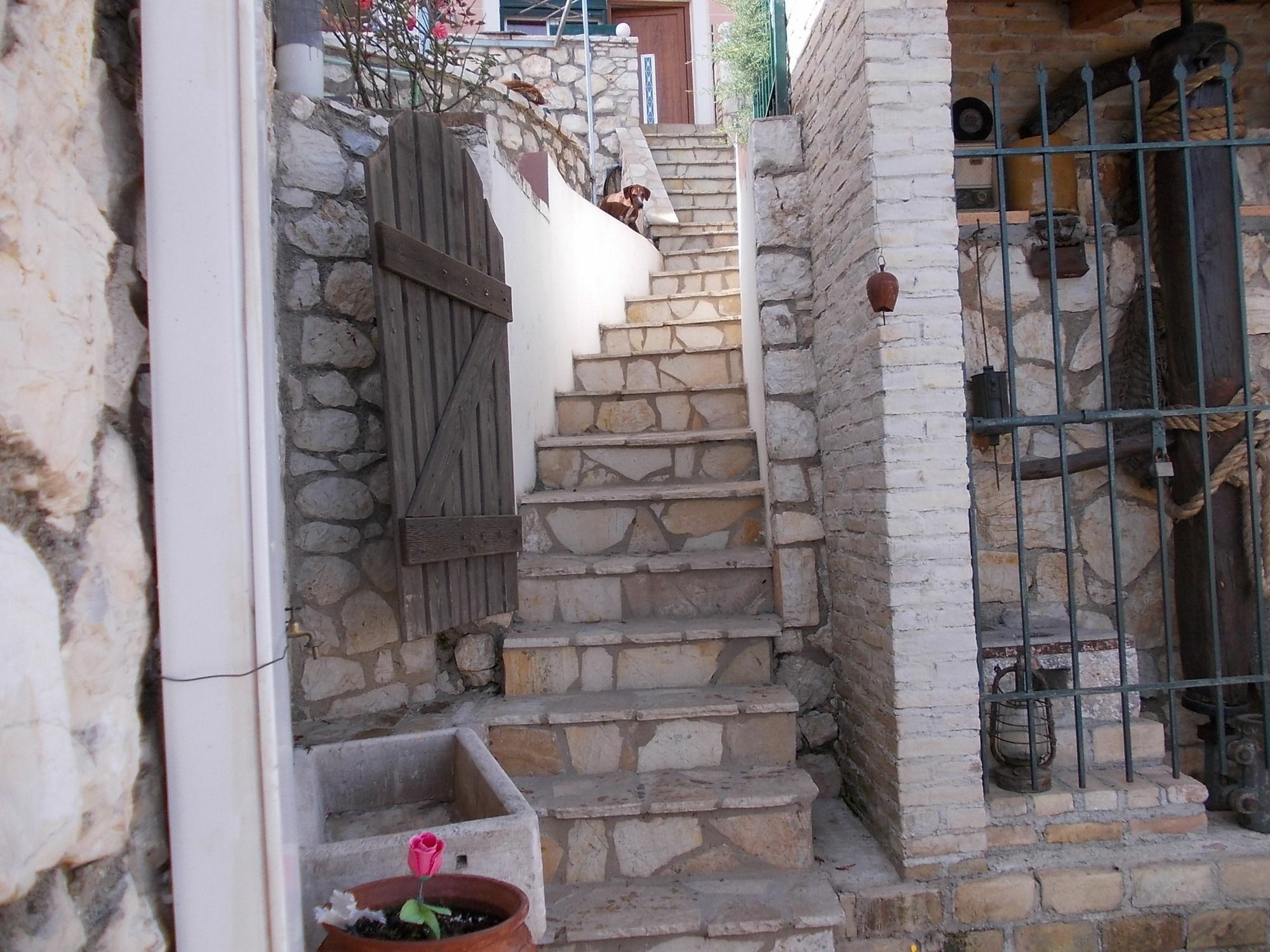 Sarakinos Apartments Barbati Exterior foto