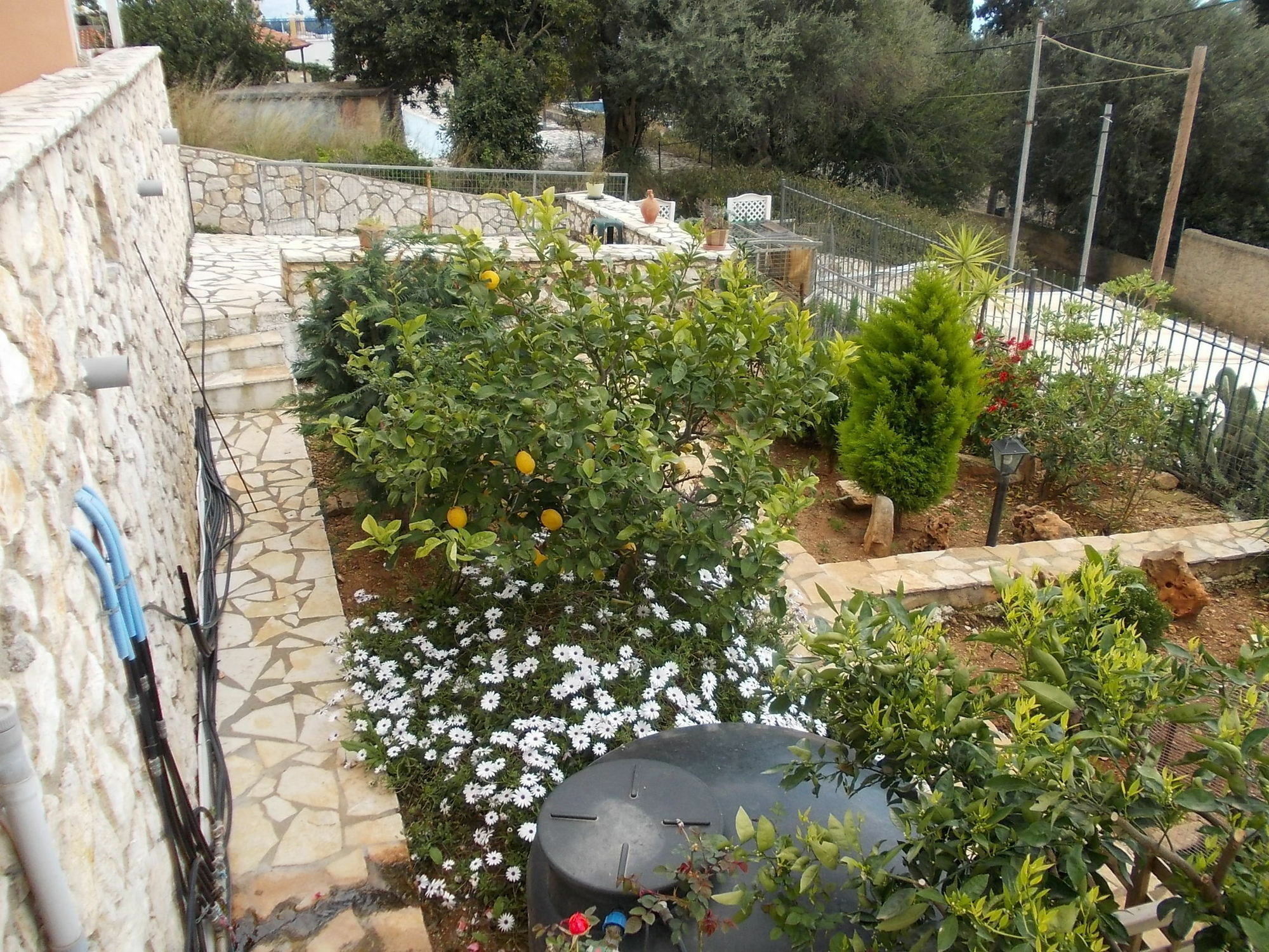 Sarakinos Apartments Barbati Exterior foto